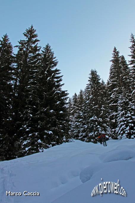 02_Si sale nel bosco.JPG